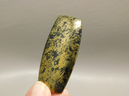 Apache Gold Cabochon #19