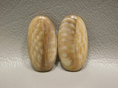 Petrified Sycamore Wood Matched Pair Cabochons #23