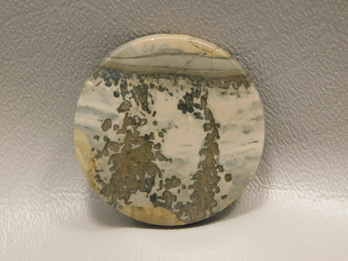 Cotham Marble Fossil Stromatolite Designer Cabochon England #21