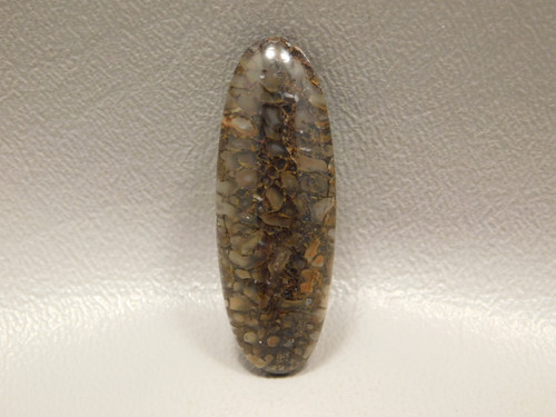 Translucent Dinosaur Bone Fossil Designer Cabochon #9