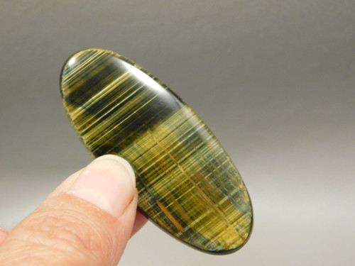 Tiger's Eye Cabochon #6