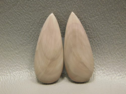 Willow Creek Jasper Matched Pair Cabochon Stones #19