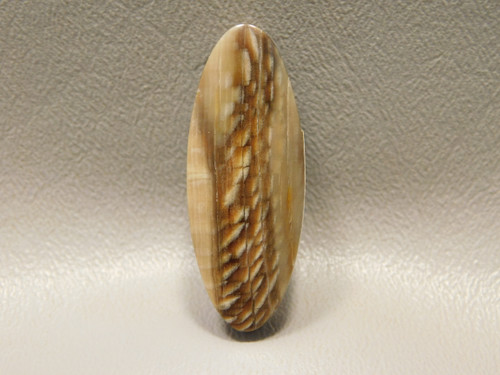 Petrified Sycamore Wood Stone Bead Pendant #6