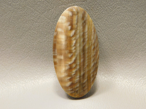 Petrified Sycamore Wood Stone Bead Pendant #7