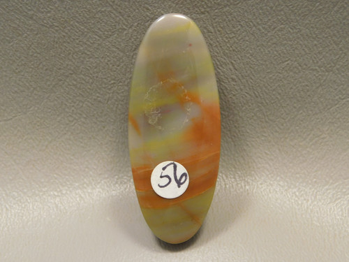 Arizona Rainbow Petrified Wood Stone Bead Pendant #2