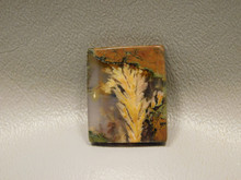 Priday Plume Agate Cabochon #5