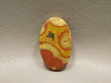 Morgan Hill Poppy Jasper Cabochon #8