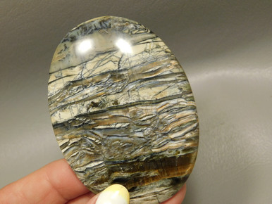 Arizona Pietersite Large Collector Cabochon #XL2 - Barlows Gems