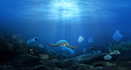 The Growing Threat of Plastic Pollution and How You Can Make a Difference