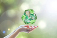 Sustainable Waste Management with Securr: A Greener Tomorrow