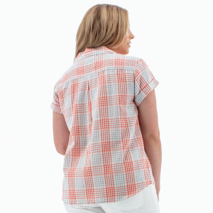 Cypress Shirt 23 studio back image