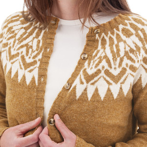 Alani Fair Isle Cardigan studio alt2