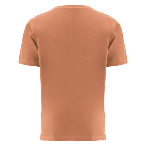 Great Basin Tee back