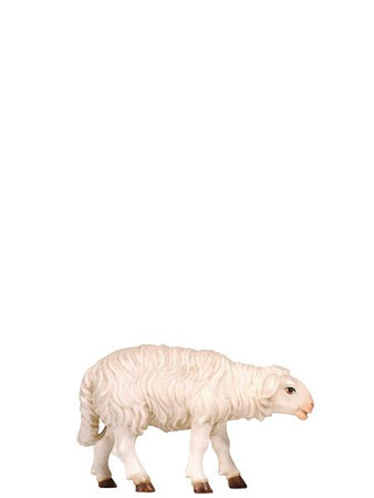801260 Sheep Standing Real Wood Painted Kostner Nativity from Pema in Italy