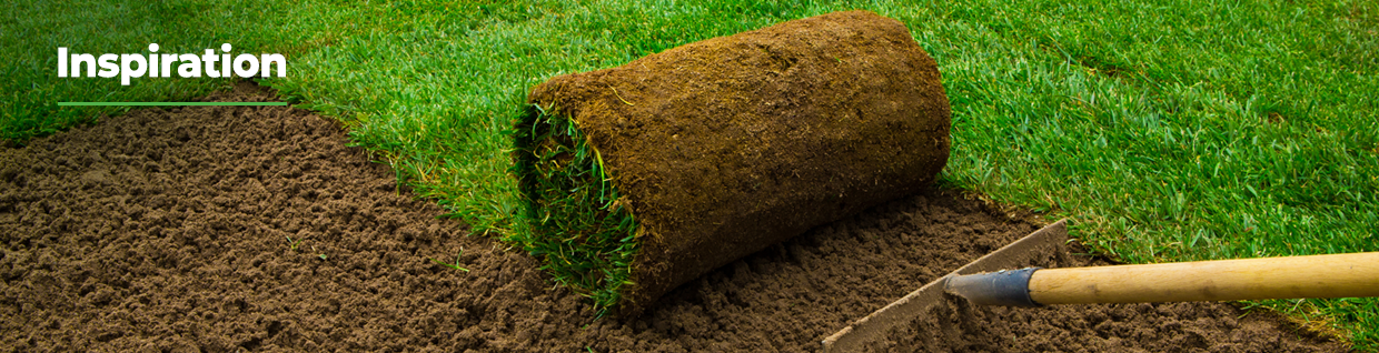 Garden Ideas for Sloping Gardens