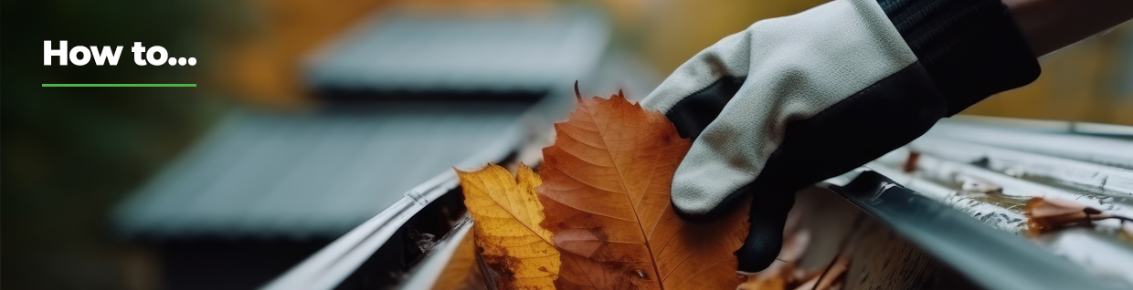 Ultimate Guide to Gutter Cleaning: How Often, Costs & Top Tips