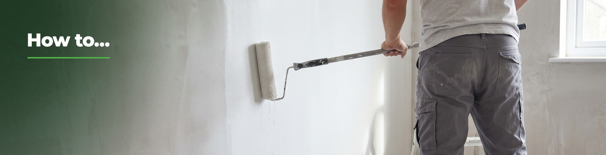 How to paint a newly plastered wall
