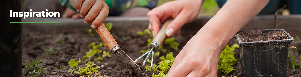 Child-friendly garden ideas on a budget