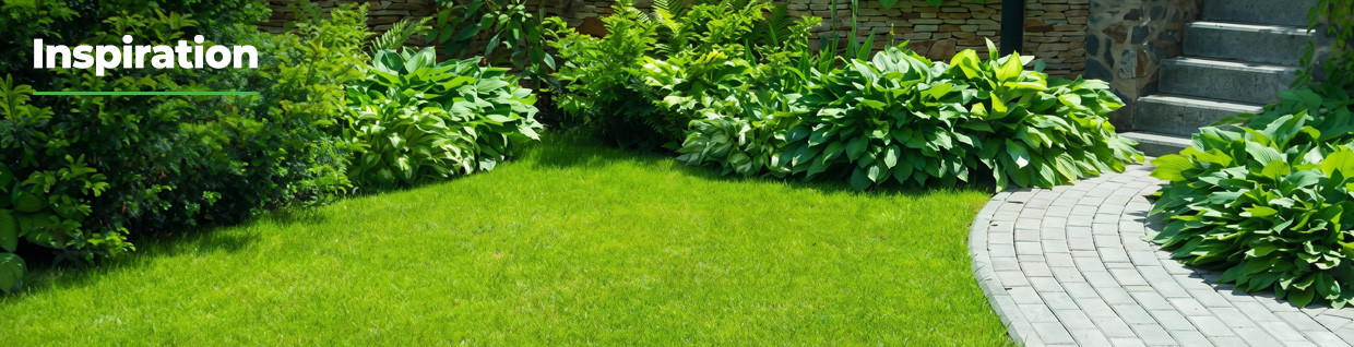 Low maintenance garden ideas in time for summer
