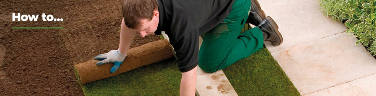 How to lay turf How to lay turf