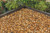 Golden-Gravel-sort1.jpg.jpeg Golden-Gravel-sort1.jpg.jpeg