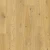 PIM_0097802.webp PIM_0097802.webp