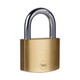 Yale%20Padlock%20Brass%2050mm.jpg.jpeg Yale%20Padlock%20Brass%2050mm.jpg.jpeg