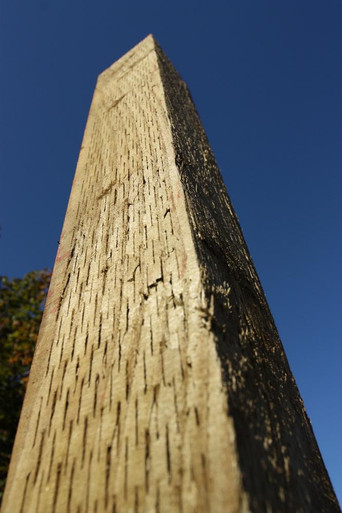 Incised Fence Post Treated Green 1.8m | Howarth Timber