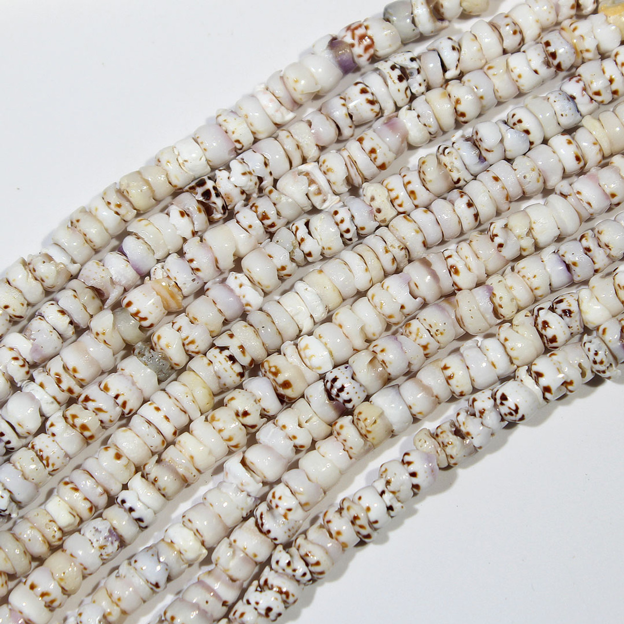 shell beads