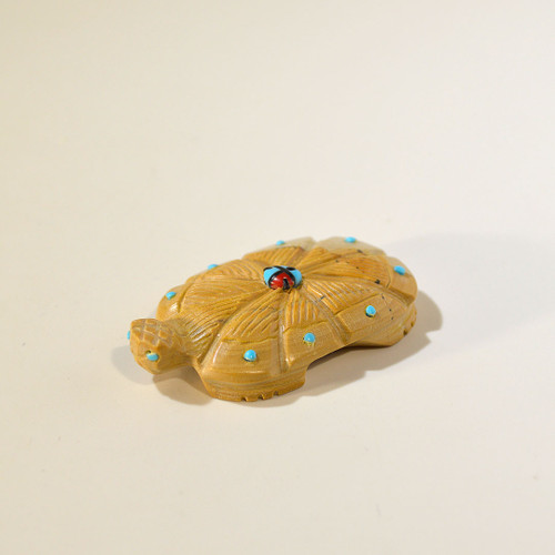 Turtle Fetish by Danette Laate | Picture Jasper #2