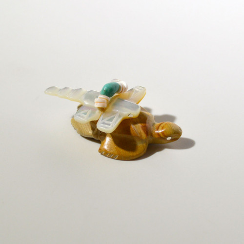 Daisy Rose Leonard Turtle and Dragonfly Fetish | Picture Jasper