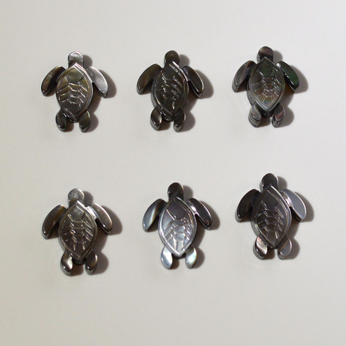 Turtle Bead | Black Snail Shell | Top Drilled