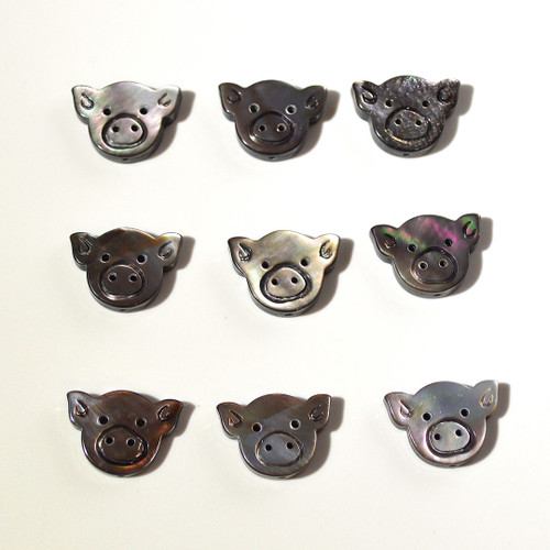 Pig bead | Black Snail Shell | Top Drilled