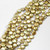 11mm Gold Coin Pearls | $12 Wholesale 