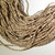 2-3mm Voluta Shell Heishi | $7.15 Wholesale