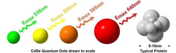 quantum-dots.jpg