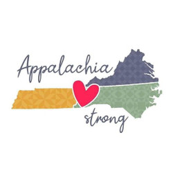 Hurricane Helene Devastated Our Region