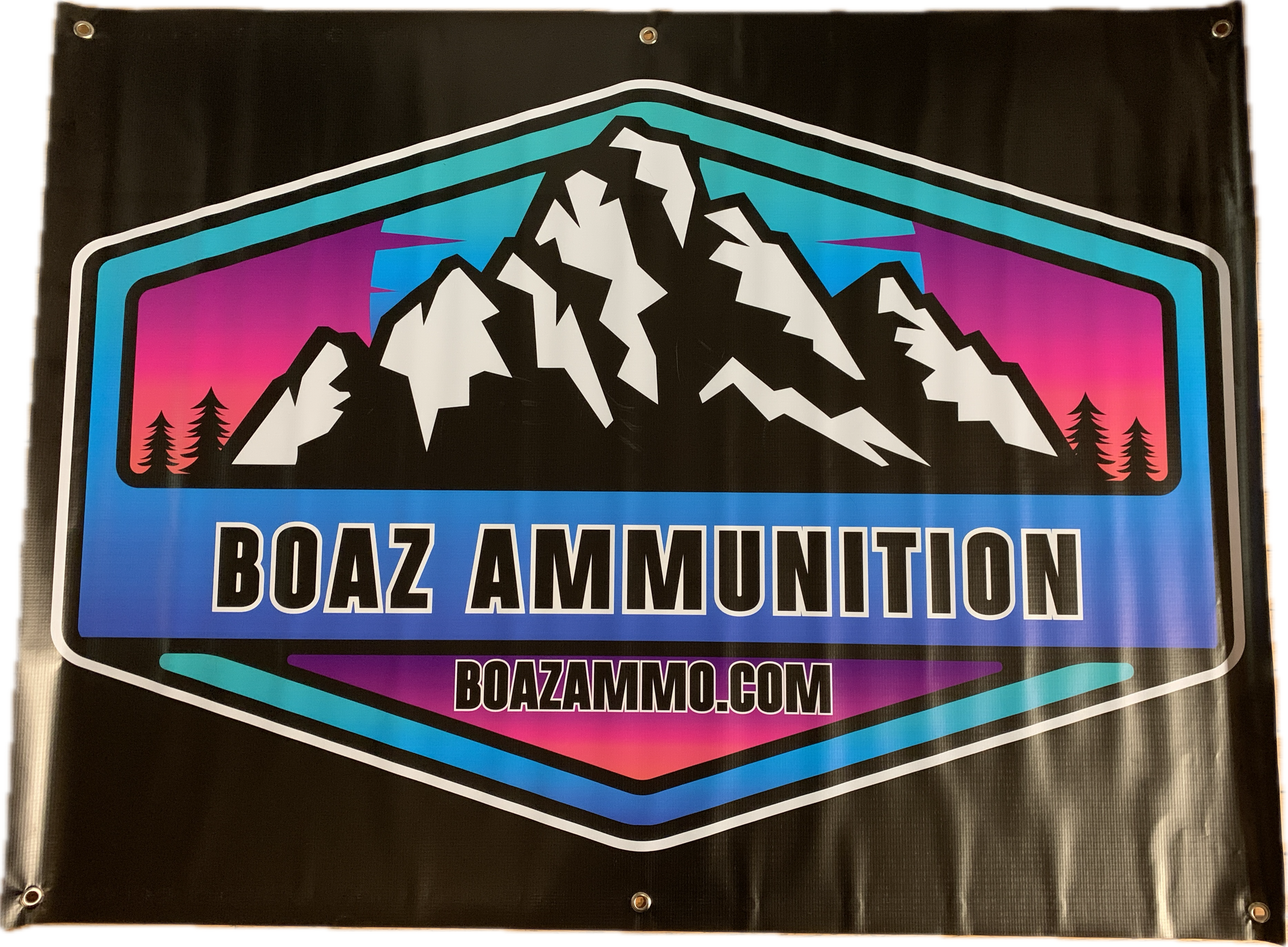 biazbanner.png