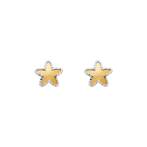 343-224 Diamond Cut Star Stud Earrings 343-224 Diamond Cut Star Stud Earrings