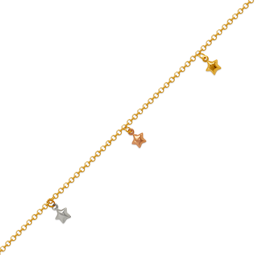 229-100-006T Charm Anklet