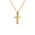 583-101-T Initial "T" Pendant