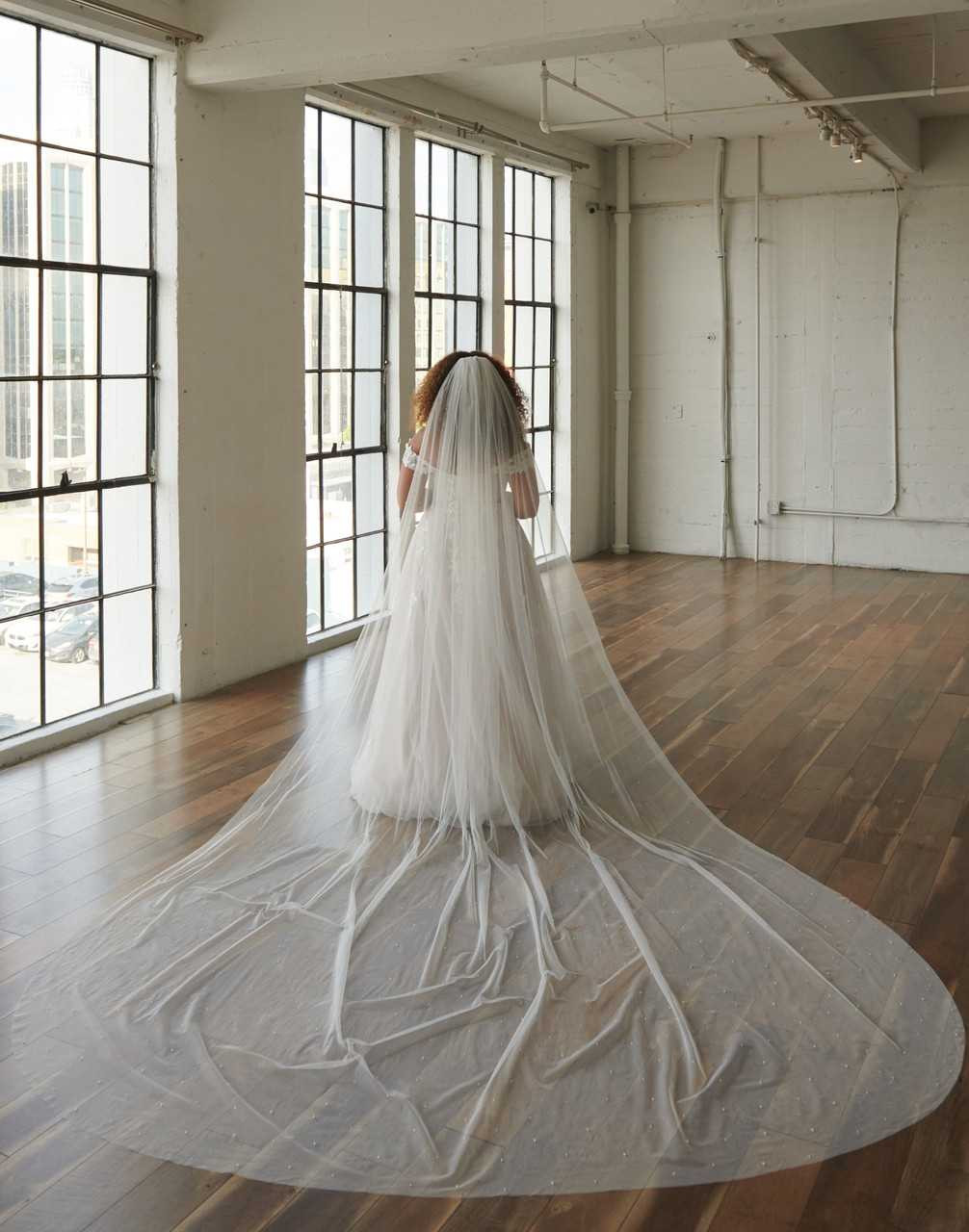 https://cdn11.bigcommerce.com/s-zb3qt33o/images/stencil/1280x1280/products/19627/65647/Glitter-Tulle-Regal-Cathedral-Wedding-Veil-with-Pearls-Envogue-V2381WRC_65644__33102.1700153005.jpg?c=2