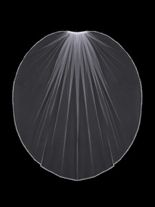 Beaded Pearl Fingertip Length Wedding Veil enVogue V802SW Beaded Pearl Fingertip Length Wedding Veil enVogue V802SW