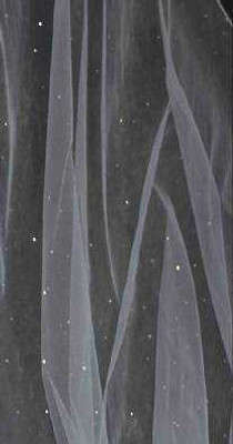 Cathedral Length Stardust Wedding Veil with Tiny Crystal Rhinestones Cathedral Length Stardust Wedding Veil with Tiny Crystal Rhinestones