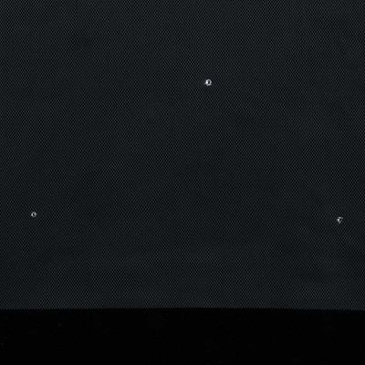 Cathedral Length Wedding Veil with Rhinestones enVogue V60WC