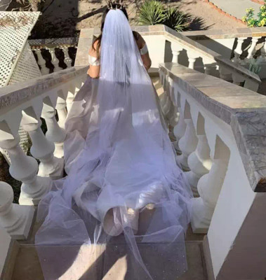 Royal Cathedral Crystal Covered Stardust Wide Width Wedding Veil