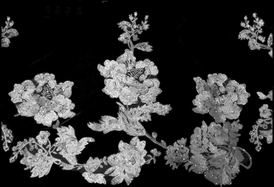 Elegant Beaded Lace Cathedral Wedding Veil with Rhinestones