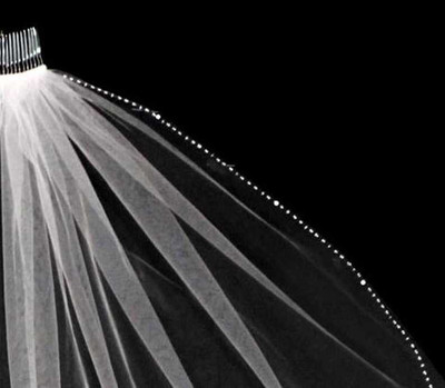 Stunning Beaded Scroll Cathedral Wedding Veil