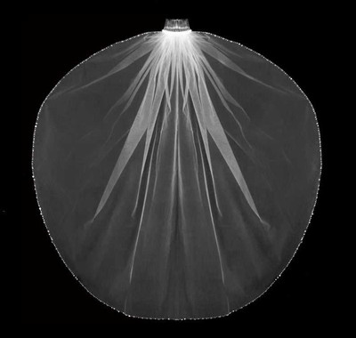 Fingertip Wedding Veil Delicate Crystal and Rhinestone Beaded Edge