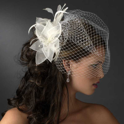 Birdcage Wedding Veil with Feather Fascinator Birdcage Wedding Veil with Feather Fascinator
